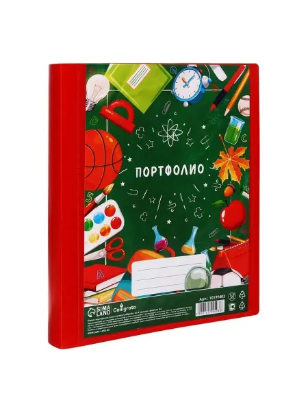 Пластиковая папка-портфолио на кольцах для школьника