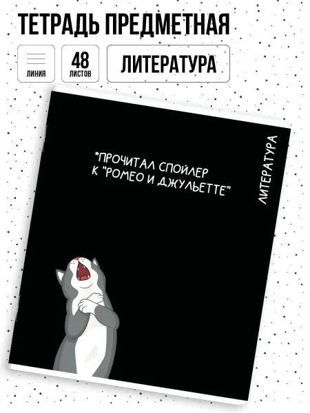 Феникс+ Тетрадь предметная в линию Литература 48л
