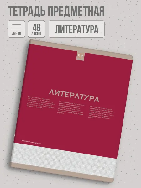 Феникс+ Тетрадь предметная литература 48л софт-тач