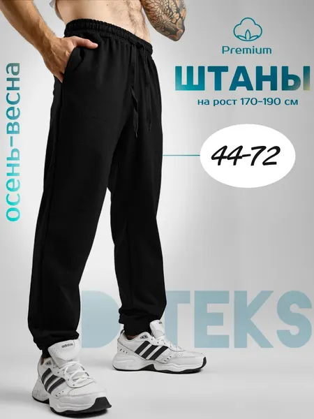 DTeksБрюки спортивные
