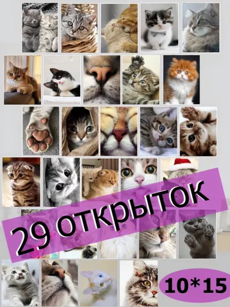 MAJIVVI HOME Набор открыток котики коты котята