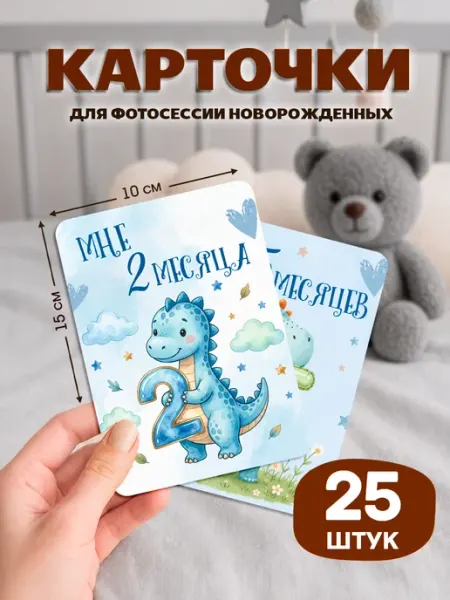 StickerHouse Natali Pank Карточки для фотосессии новорожденных по месяцам
