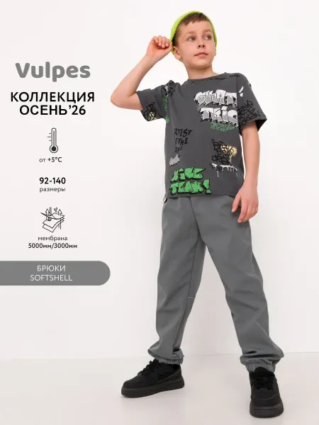 Vulpes Брюки софтшелл демисезонные