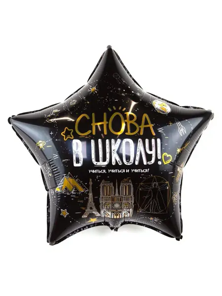 ШкольныйПраздник Воздушный шар Снова в Школу! 56см