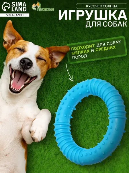 Пижон Игрушка жевательная для собак 8 см