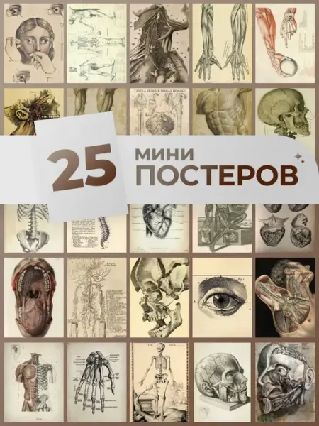 MAJIVVI HOME анатомия винтаж постеры медицинские