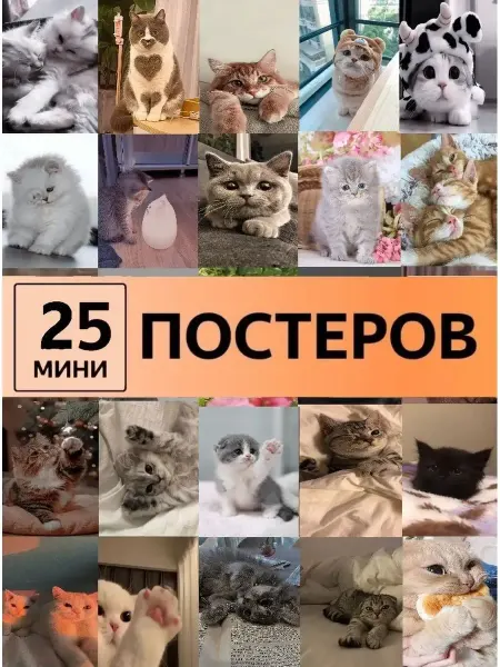 Pank.serg постеры с котятами кошки детям Карточки