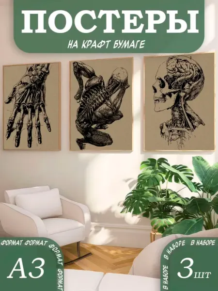 ТипоБереста Интерьерные постеры А3, на крафт бумаге, анатомия в деталях