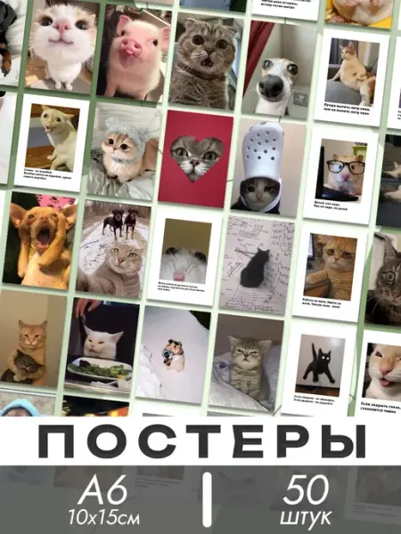 ТипоБереста Смешные постеры мемы, мини постеры мемы тик ток
