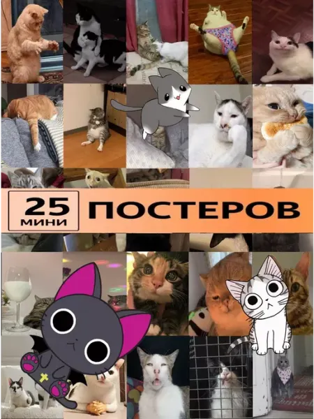 · K&M Room постеры с кисами