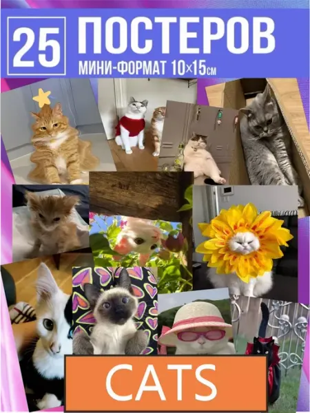 · K&M Room постеры с котиками