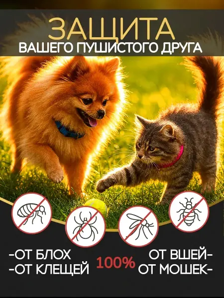 CollarsDepot Антиблоший ошейник для кошек и собак, защита до 8 месяцев