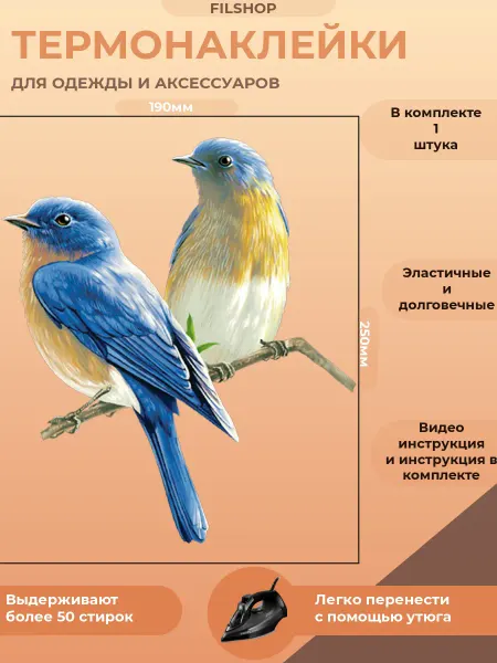 Термонаклейка на одежду