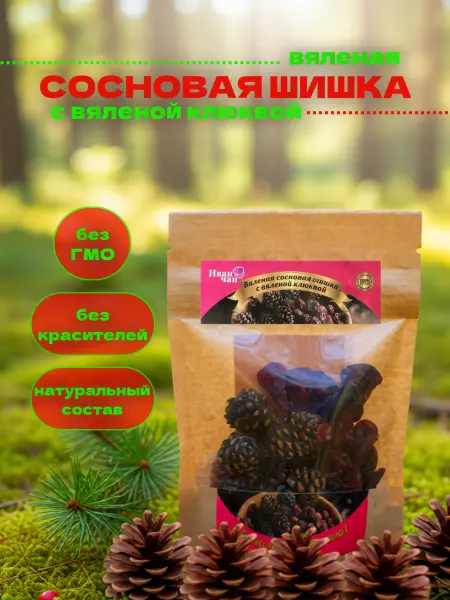 Вяленая сосновая шишка с клюквой