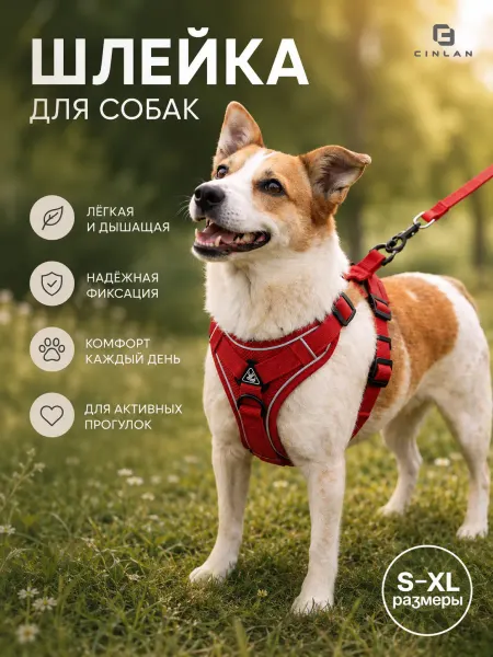 CINLAN Шлейка для собак и кошек
