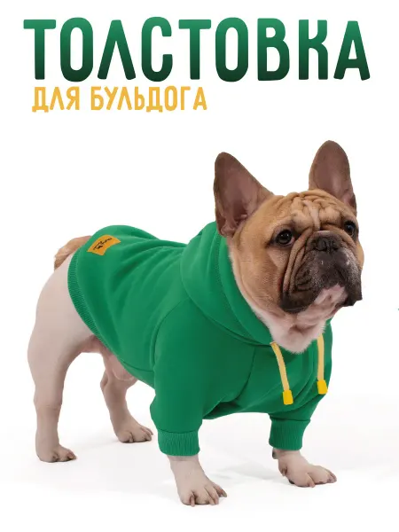 Stylish Larchi Толстовка для собак, Бульдога и Мопса