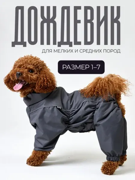 LionPets Дождевик для собак мальчик