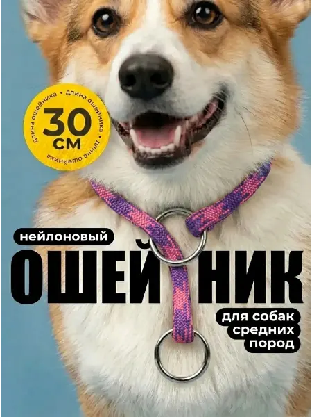 ZOOONE Дрессировочный ошейник удавка для собак 8мм x 30см