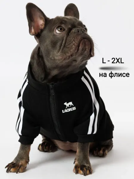 LAOPETS Одежда для собак