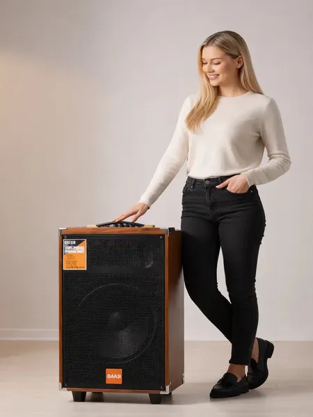 Портативная колонка B-Q12 караоке Bluetooth с микрофоном и пультом, беспроводная