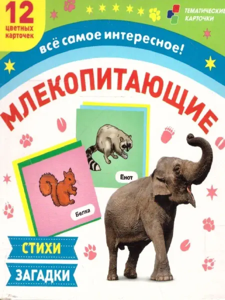Учитель Млекопитающие. 12 карточек с картинками, стихами и загадками