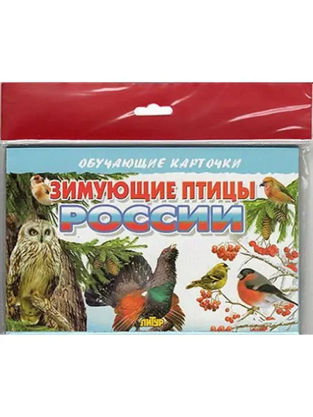 ЛитУр Обучающие карточки. Зимующие птицы России (16 карточек)