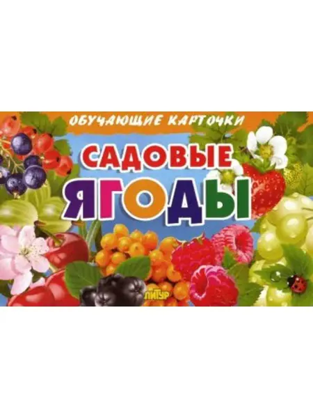 ЛитУр Обучающие карточки. Садовые ягоды (16 карточек)
