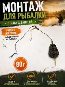 Готовая фидерная оснастка с кормушкой и крючками для карпа и донной ловли 80 грамм Carp Flat