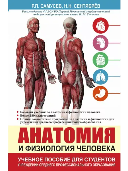 АСТ Анатомия и физиология человека