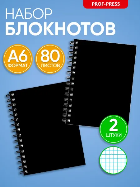 Prof-Press Записная книжка А6, 80 листов 2 шт. на пружине