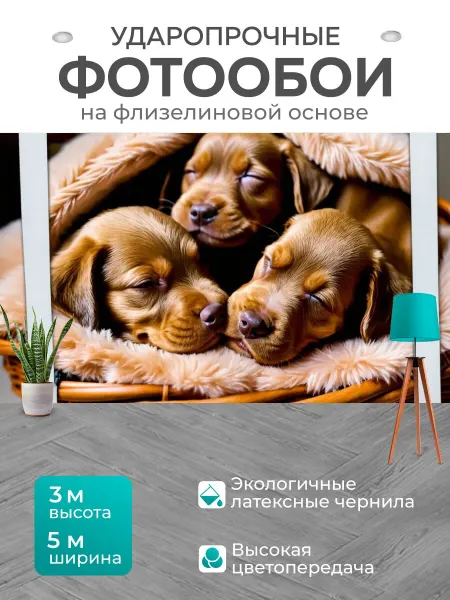 LotsPrints Фотообои "Животные в стиле полароидная фотография." 5x3м
