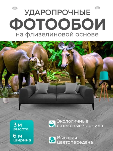 LotsPrints Фотообои "Животные, собирающиеся на источнике воды." 6x3м
