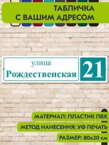 Адресная табличка на дом "Домовой знак" бело-голубая, 800х200 мм., из пластика, УФ печать не выгорает