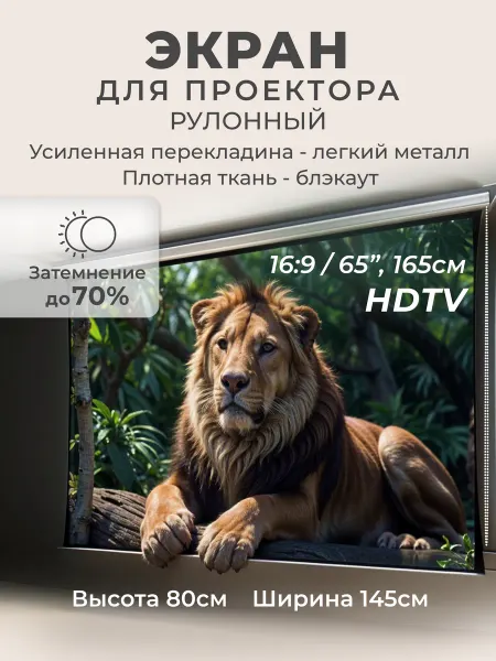 Gozhy Экран для проектора рулонный блэкаут 80х145см