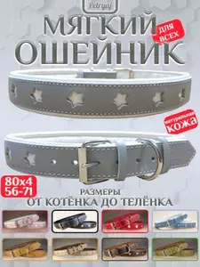 Ошейник для собак кошек 80х4см серый звёзды мягкий