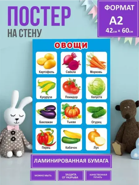 StickerHouse Natali Pank плакат учим слова овощи, для детей
