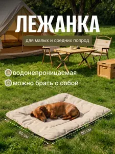 Водонепроницаемый лежак для кошек и собак малых и средних пород, цвет молочный, 80х60 см