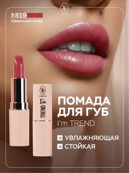 TF COSMETICS Помада для губ увлажняющая стойкая, тон 819