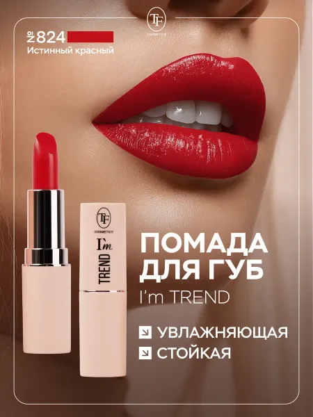 TF COSMETICS Помада для губ увлажняющая стойкая, тон 824