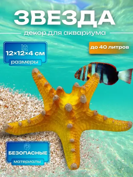 Amalivecare Декор для аквариума Звезда остроконечная