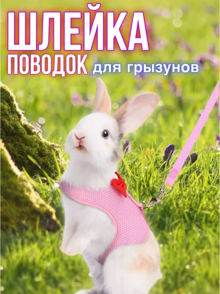 Pets Шлейка поводок для кроликов грызунов