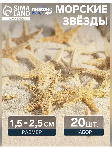 Пижон Аква Набор натуральных морских звезд для аквариума