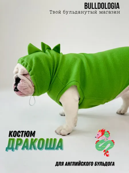Бульдология жилет для собак Дракоша для Английского бульдога