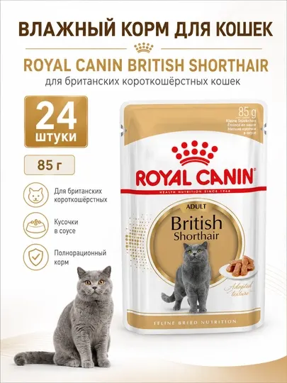 Влажный корм для кошек Royal Canin British Shorthair, 85 г, для британских - 24 штуки