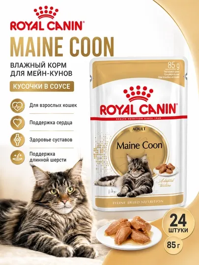Влажный корм для кошек Royal Canin Maine Coon, 85 г, для мейн-кунов - 24 штуки