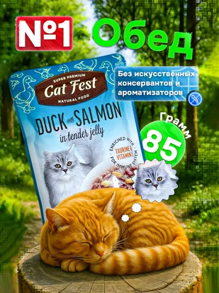 Влажный корм для кошек, "Super premiem CAT FEST natural food" 85г 3 шт