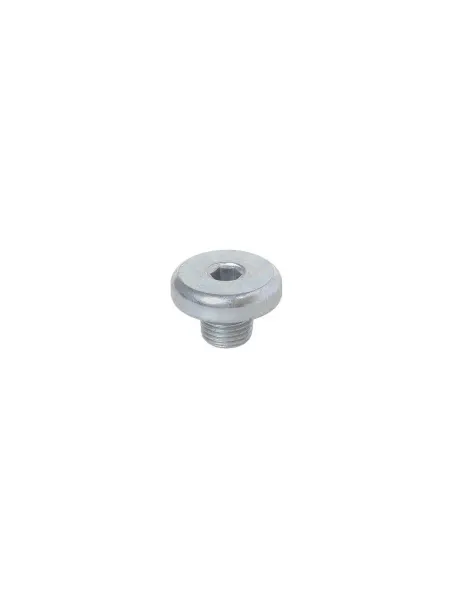 VAG (VW/Audi/Skoda/Seat) Винт VAG VAG WHT005510