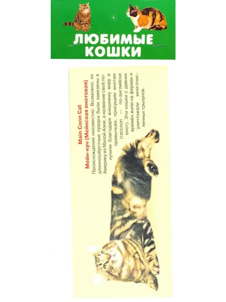 ИСКАТЕЛЬ Набор карточек. Любимые кошки (20 карточек)