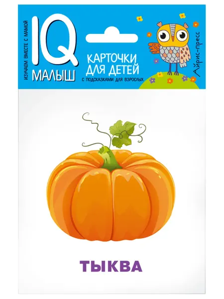 АЙРИС-пресс Умный малыш. Что растёт на грядке? Ходюшина Н.П. IQ малыш