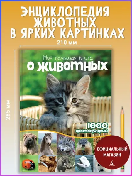 Издательство Махаон Моя большая книга о животных